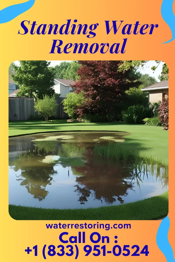 Standing Water Removal in South Bend, IN